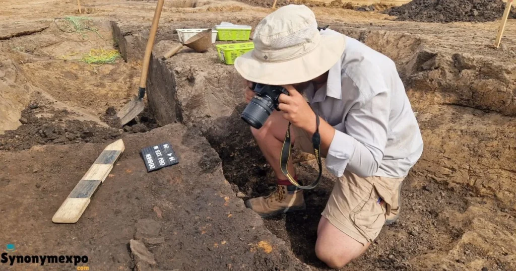 Settlement Archaeology